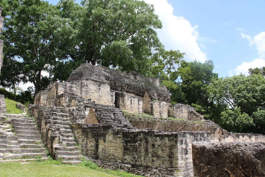 Picture 6 for Activity From Flores: Tikal Ruins Day Tour