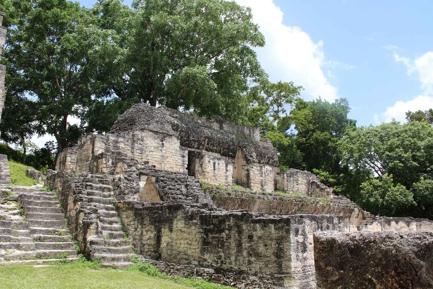 Picture 6 for Activity From Flores: Tikal Ruins Guided Day Trip