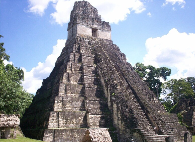 Picture 4 for Activity From Flores: Tikal Ruins Guided Day Trip