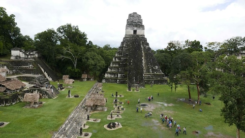 From Flores: Tikal Ruins Guided Tour