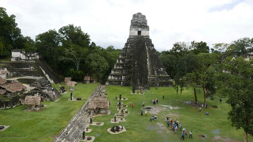 From Flores: Tikal Ruins Guided Day Trip