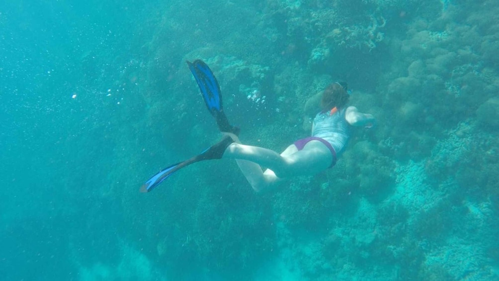 Picture 4 for Activity From Lombok: Southern Gilis Private Snorkelling Day Trip