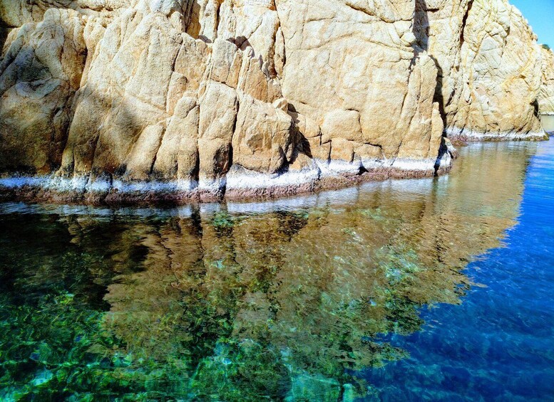 Picture 6 for Activity Costa Brava: Stand-Up Paddleboarding Lesson and Tour