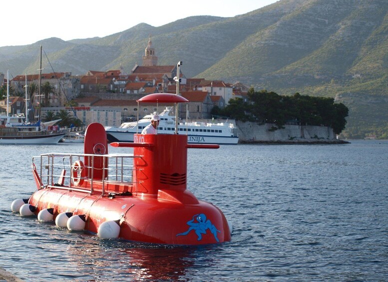 Picture 4 for Activity Korcula: Semi-Submarine Tour