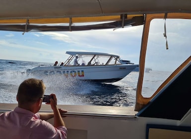 Split: recorrido en barco por Bisevo, Vis y Hvar con paradas de snorkel