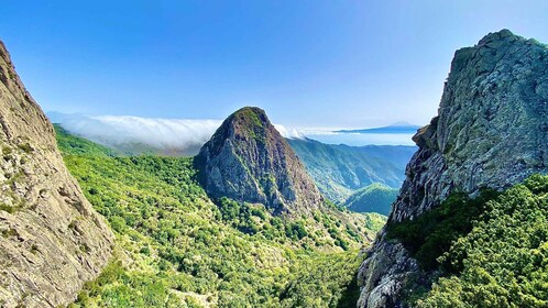 Depuis Los Cristianos : Excursion d'une journée sur l'île de La Gomera