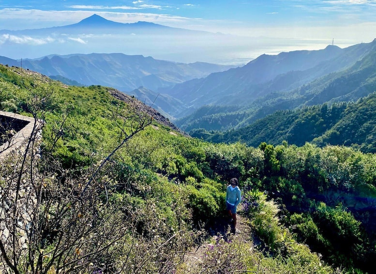 Picture 7 for Activity From Los Cristianos: La Gomera Island Full-Day Trip