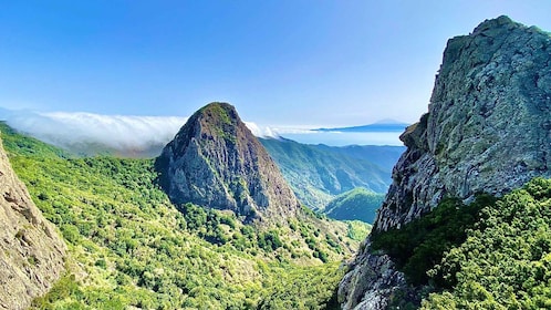 Desde Los Cristianos: excursión de un día a la isla de La Gomera