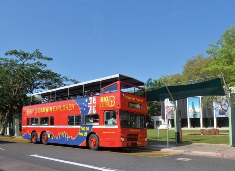 Darwin: Crocosaurus Cove Entry & Hop-on-Hop-Off Bus Tour