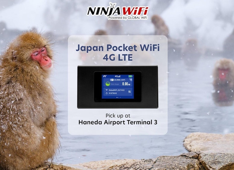 Tokyo: Haneda Airport Terminal 3 Mobile WiFi Rental