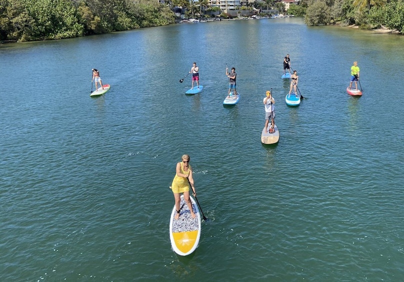 Picture 1 for Activity Gold Coast: 1-Hour Standup Paddleboarding Lesson & Photos