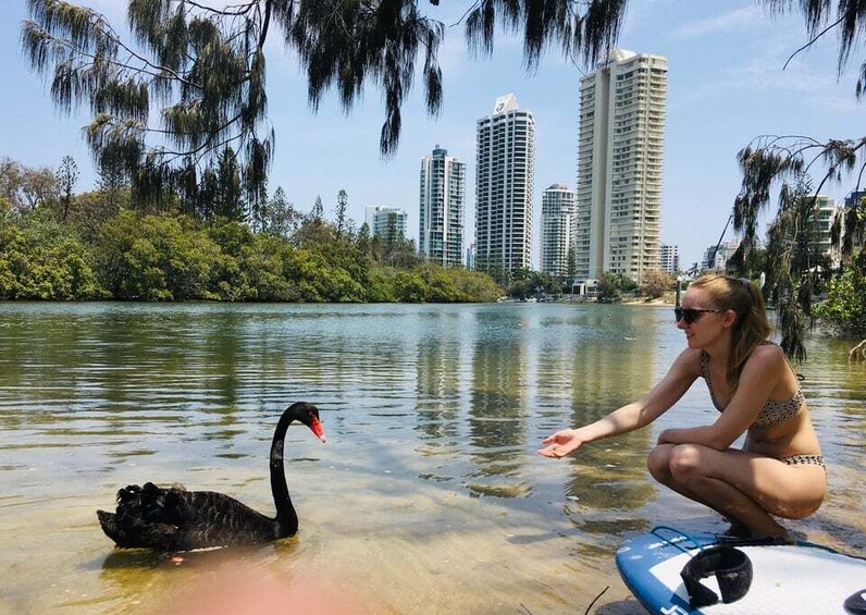 Picture 7 for Activity Gold Coast: 1-Hour Standup Paddleboarding Lesson & Photos