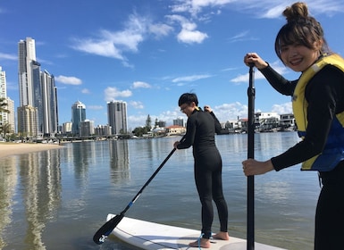Gold Coast: clase de surf de remo de 1 hora y fotos