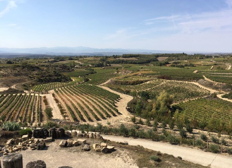 Picture 4 for Activity From San Sebastian/Bilbao/Vitoria: Rioja Wine Tour w/ Lunch