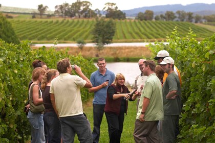 De Saint-Sébastien/Bilbao/Vitoria : visite des vins de la Rioja avec déjeun...