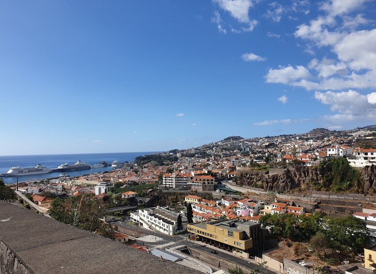 Picture 9 for Activity Funchal: Monte and Old Town Tour by Tuk-Tuk