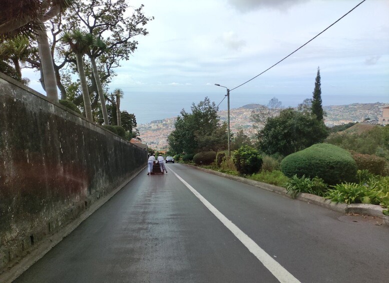 Picture 11 for Activity Funchal: Monte and Old Town Tour by Tuk-Tuk