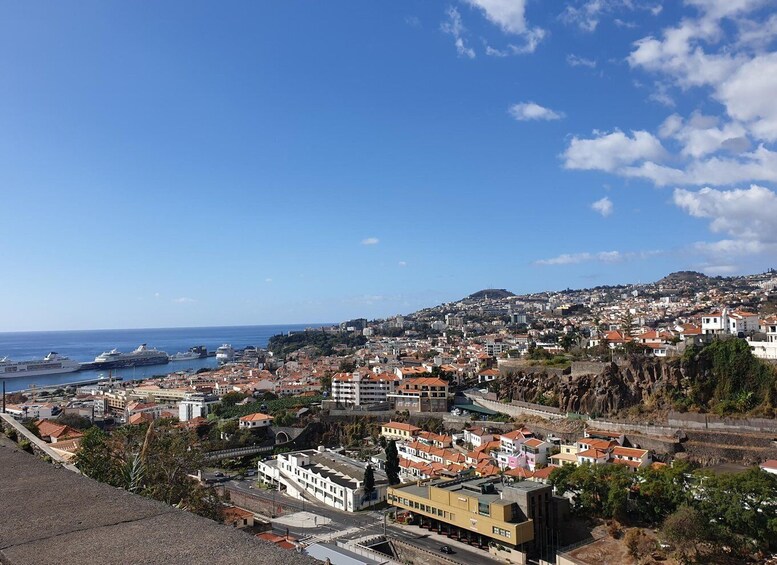 Picture 9 for Activity Funchal: Monte and Old Town Tour by Tuk-Tuk