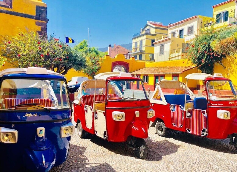 Picture 4 for Activity Funchal: Monte and Old Town Tour by Tuk-Tuk