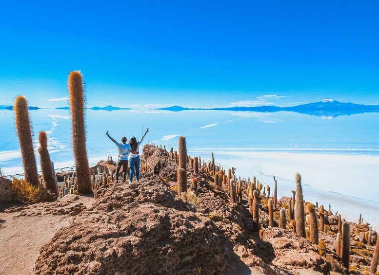 Picture 8 for Activity Uyuni: Isla Incahuasi & Uyuni Salt Flats Full-Day Jeep Tour