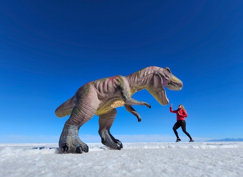 Picture 5 for Activity Uyuni: Isla Incahuasi & Uyuni Salt Flats Full-Day Jeep Tour