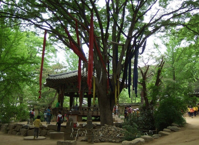 Picture 10 for Activity Seoul: Royal Palace and Korean Folk Village full day Tour