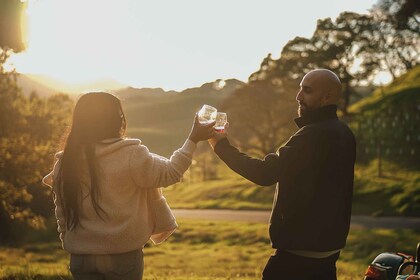 Valle de Napa: recorrido privado por la bodega Sidecar