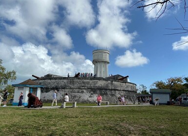 Nassau: recorrido histórico y cultural por los lugares más destacados con t...