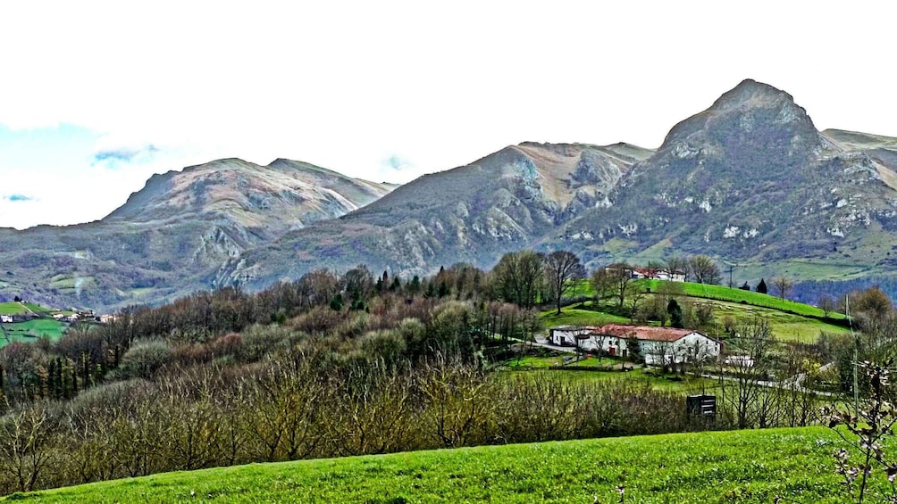 Picture 4 for Activity Exclusive Basque countryside