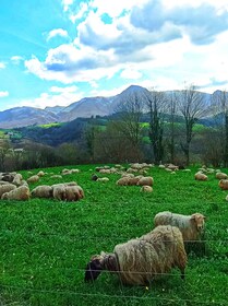 Exclusive Basque countryside