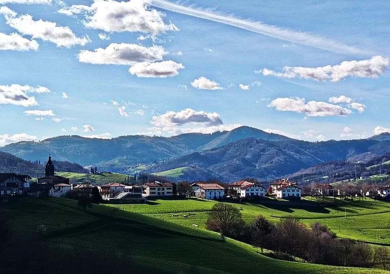 Picture 1 for Activity Exclusive Basque countryside