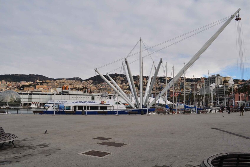 Picture 4 for Activity From Genoa: Roundtrip Boat Tour to Portofino