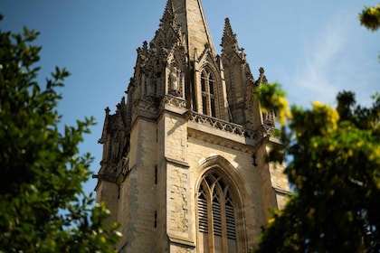 Oxford: Walking & Punting Tour med tillträde till Christ Church