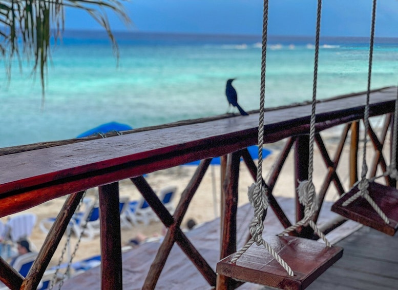 Picture 10 for Activity Cozumel: North Shore E-Bike Adventure & Beach Break