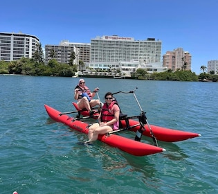 San Juan: Chiliboats Waterbike Tour in Condado Lagoon