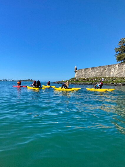 San Juan: Chiliboats Waterbike Guided Adventure Tour