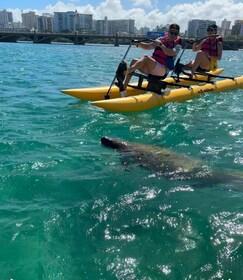 San Juan: Daytime Chiliboats Tour in Condado Lagoon