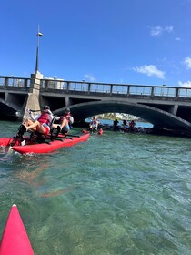 San Juan: Chiliboats Waterbike Tour in Condado Lagoon