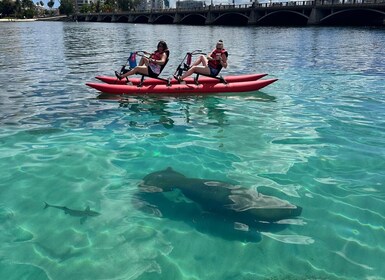 San Juan: Aventura en bicicleta acuática con chiliboats en la laguna del Co...