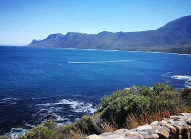 Vanuit Kaapstad of Stellenbosch: Dagtocht langs de prachtige kustlijn