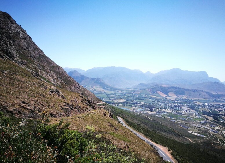 Picture 6 for Activity From Cape Town or Stellenbosch: Scenic Coastline Day Tour