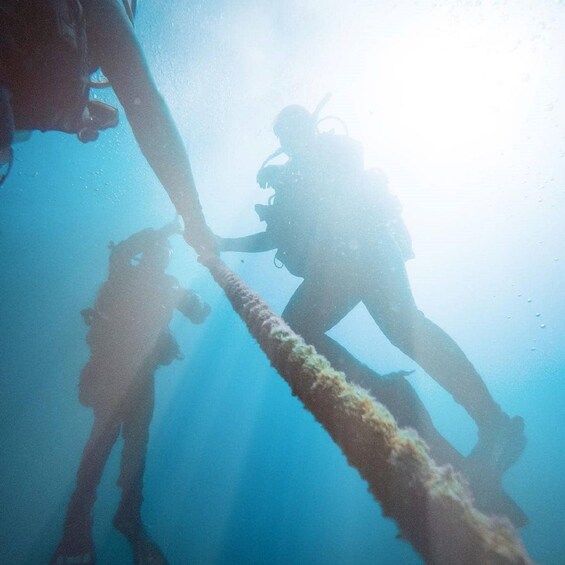 Picture 3 for Activity Gran Canaria: Morning Scuba Dive