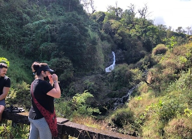 Maui: Hana Tropical Rainforest Luxury Guided Tour
