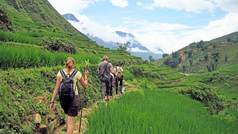 Picture 1 for Activity From Hanoi: 2-Day Sa Pa Ethnic Homestay Tour with Trekking