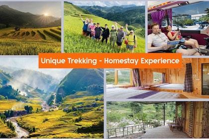 From Hanoi: 2-Day Sa Pa Ethnic Homestay Tour with Trekking