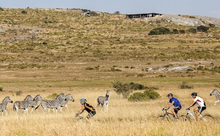 Yzerfontein: San Heritage Centre Fahrradtour & Spaziergang mit Mittagessen
