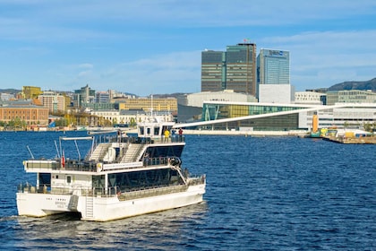 Oslo: Crociera guidata sull'Oslofjord con una barca elettrica silenziosa