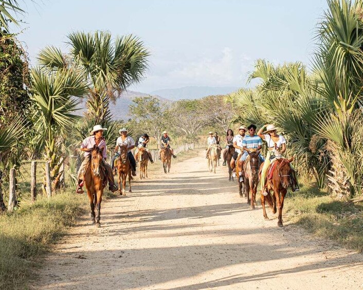 River, Ocean & Sunset Horse Riding Tour