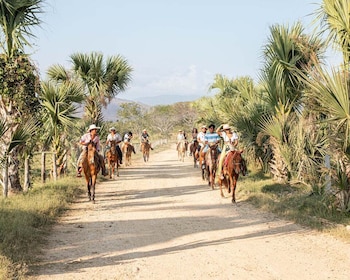 Puerto Escondido: Sunset Horse Riding Tour