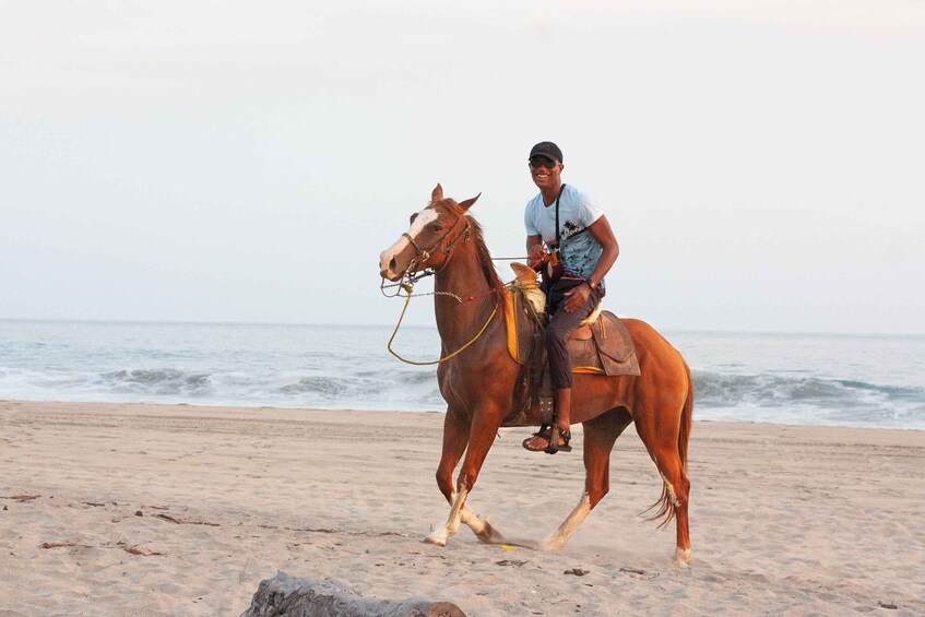 Picture 2 for Activity River, Ocean & Sunset Horse Riding Tour